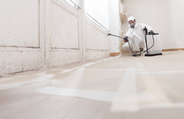 24/7 Emergency Mold Testing experts in Warren, MI